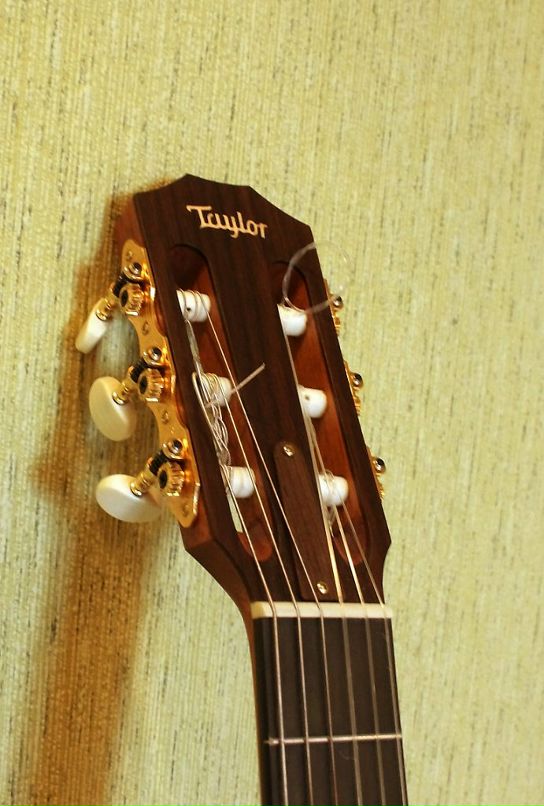 Максим Леонов фотография #26