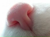 Фотография Лесик Лары