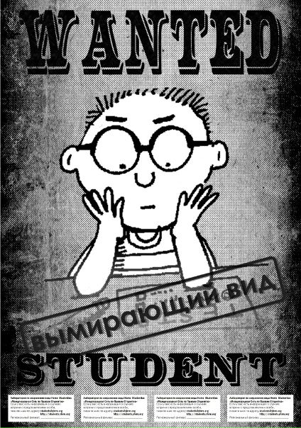 Александр Соценко фото №15