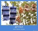 Іра Великожон фотография #16 (источник - https://vk.com/id66572897)
