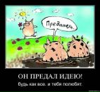 Дмитрий Козлов фотография #22 (источник - https://vk.com/id2851905)