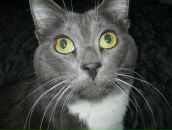 Фотография Масякиной Алёны