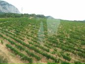 Олег Бойківський фотография #32 (источник - https://vk.com/id11213569)