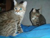 Фотография Даниловой Оли