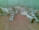 ♥ды♥мо♥ву♥шеч♥ка♥ ♥♥ фотография #7 (источник - https://vk.com/id74332987)