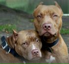 Фотография Ветровой Дарьи