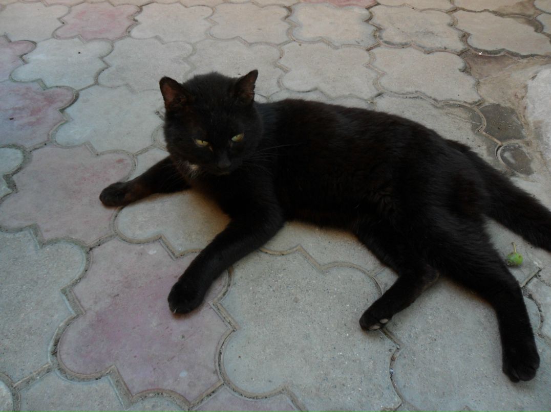 Игорь Ирхин фотография #50