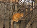 Фотография Бродовой Людмилы