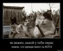 Дімон For you фотография #13 (источник - https://vk.com/id120368899)