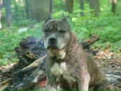 Юля Камінська фотография #3 (источник - https://vk.com/id68986702)