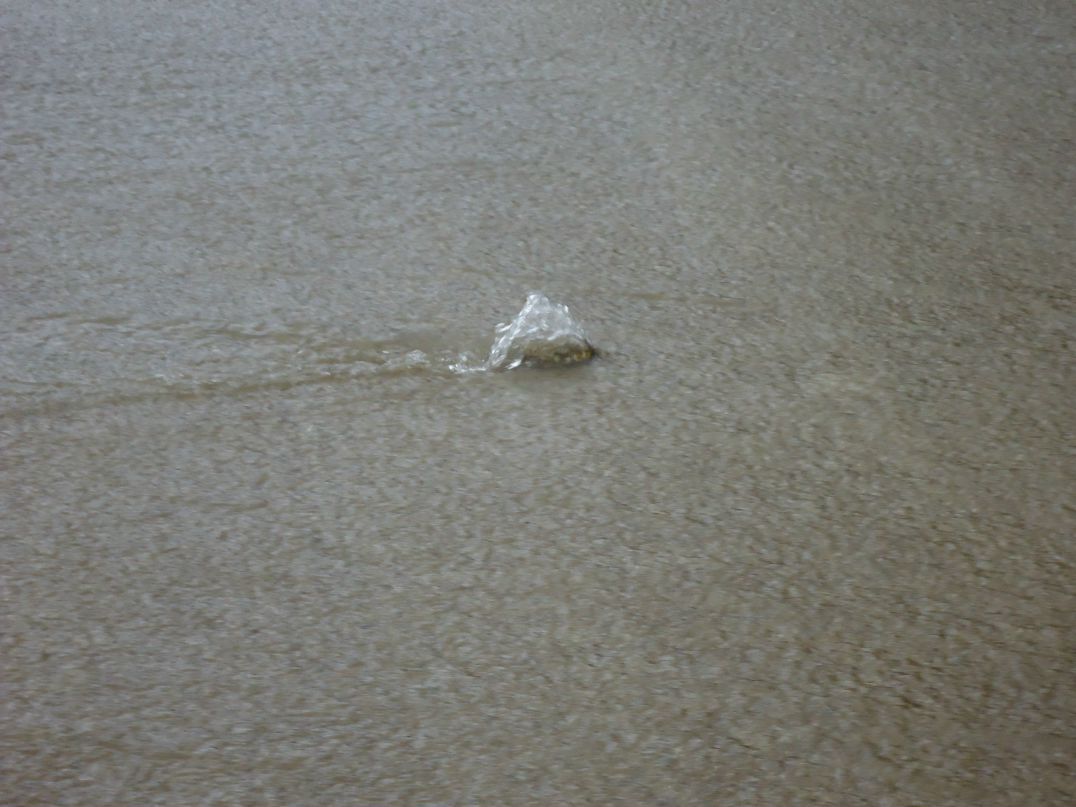 Игорь Исаков фотография #48