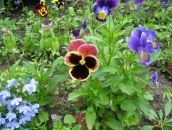 Фотография Анатольевны Марины