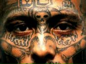 Фотография Кириллова Александра