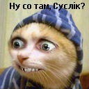 Іванка Беркела фотография #5 (источник - https://vk.com/id130729857)