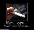Ірина Василевич фотография #42 (источник - https://vk.com/id23709707)