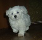 Фотография Истоминской Екатерины