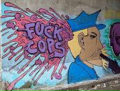 Фотография Муравьеды Агонии