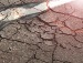Сергій Качараба фотография #12 (источник - https://vk.com/id71214073)
