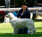 Фотография Телеш Софьи