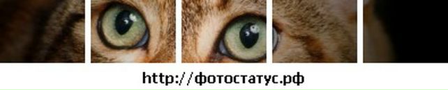 Настюшка Аболіна фотография #46 (источник - https://vk.com/id33083871)