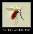 Константин Кудин фотография #37 (источник - https://vk.com/id108647)