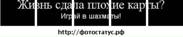 Ігор Камінський фотография #48 (источник - https://vk.com/id9678918)