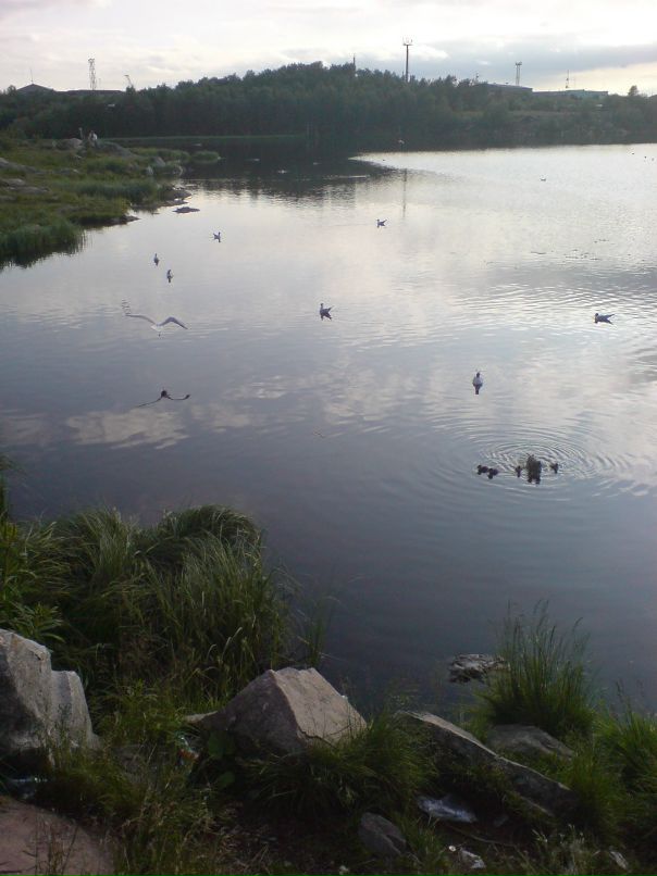 Варужан Бозоян фотография #31