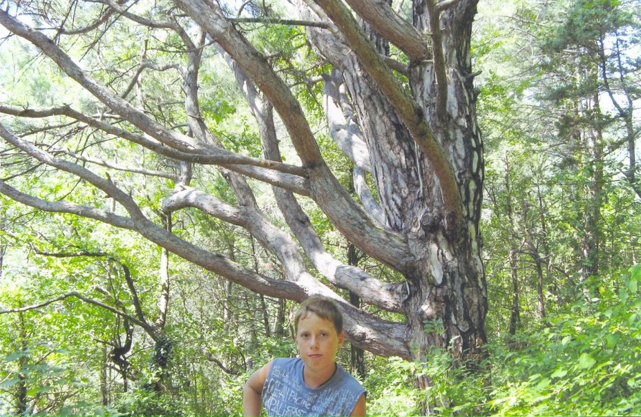 Антон Кожевников фото №1