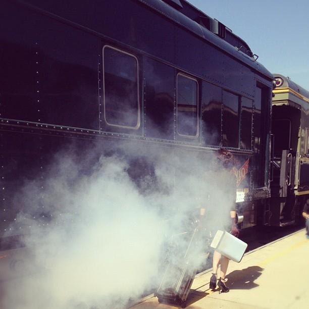 Dulguun Bat фотография #42