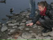 Фотография Кушелевой Олеси