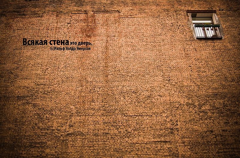 Денис Никитин фотография #7