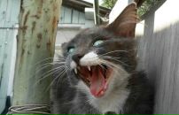 Фотография Вишняковой Евгении