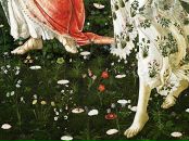 Фотография Архипцевой Александры