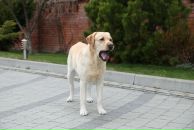 Марія Карпінська фотография #10 (источник - https://vk.com/id11737031)