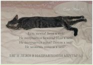 Андрій Ониськів фотография #10 (источник - https://vk.com/id9198367)