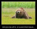 Федір Бевзо фотография #50 (источник - https://vk.com/id3691370)