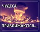 Фотография Ходос Елены