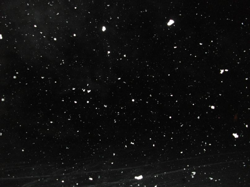 Сергей Лесик фотография #27