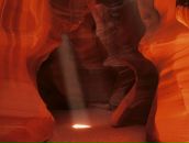 Фотография Норкиной Ольги