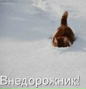 Святослав Чечіль фотография #50 (источник - https://vk.com/id161530157)