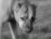 Фотография Лукьяновой Лены