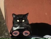 Фотография Семеновой Светланы