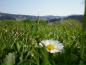 Любов Василів фотография #14 (источник - https://vk.com/id14456686)