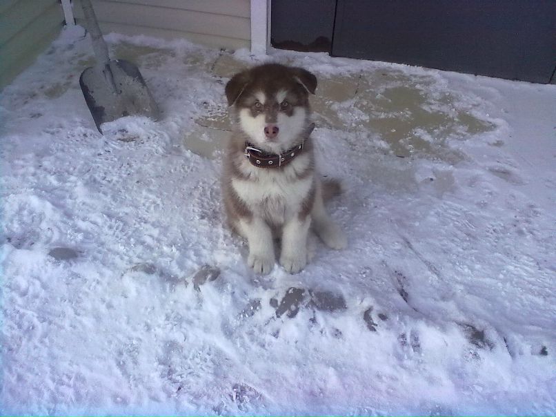 Александр Автаев фотография #13