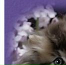 Таїсія Петрина фотография #38 (источник - https://vk.com/id28549960)