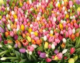 Фотография Филатенковой Виты