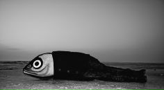 Фотография Морозовой Екатерины