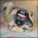 Фотография Фроловой Натальи