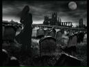 Багіра Кошка фотография #22 (источник - https://vk.com/id84107586)