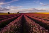 Фотография Хабибрахмановой Юлии